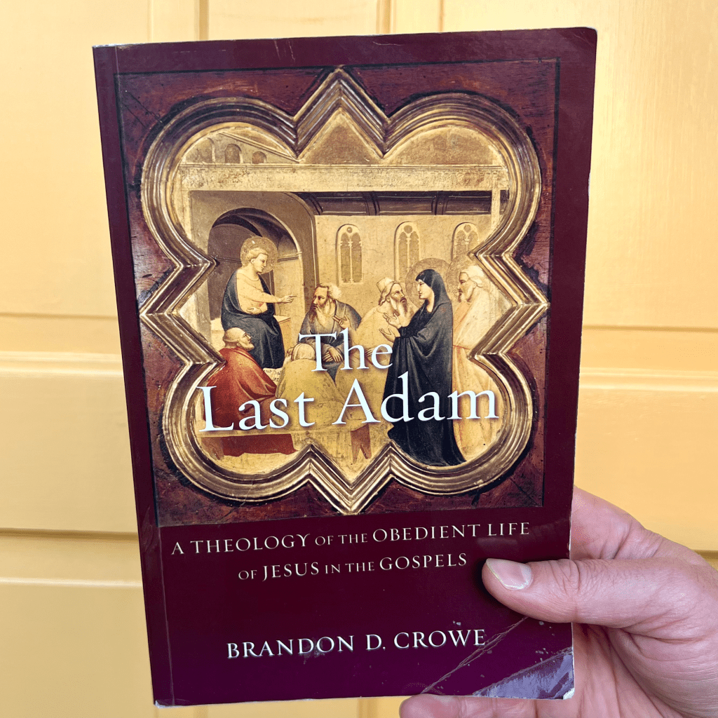 The Last Adam: A Theology of the Obedient Life of Jesus in the Gospels